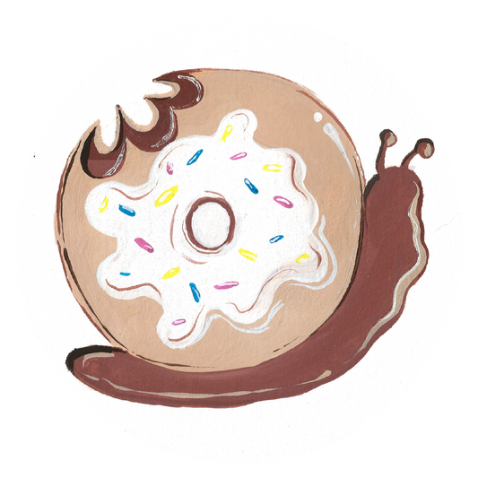 Donut Snail